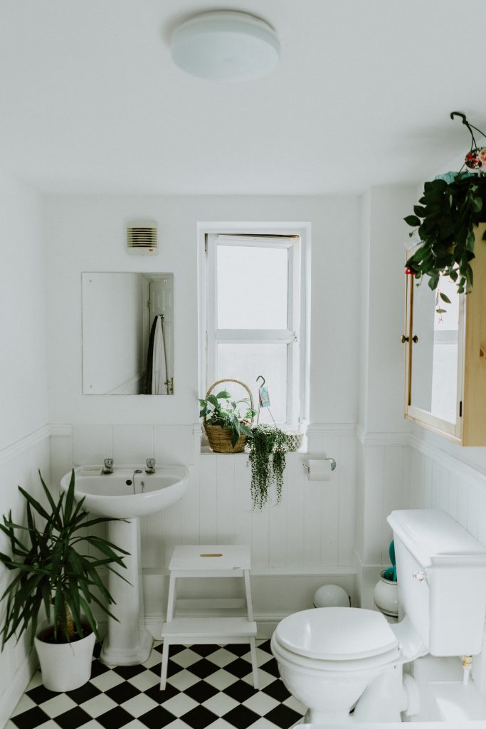 plantas en baño