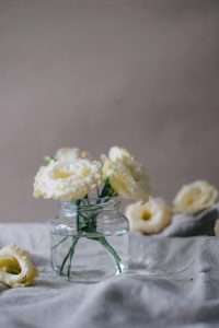 flores, plantas para baño