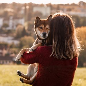 shiba-Mélissa Dupont